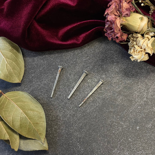 Small Coffin Nails