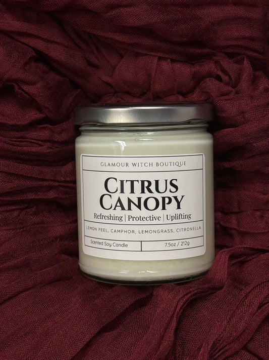 Citrus Canopy Candle