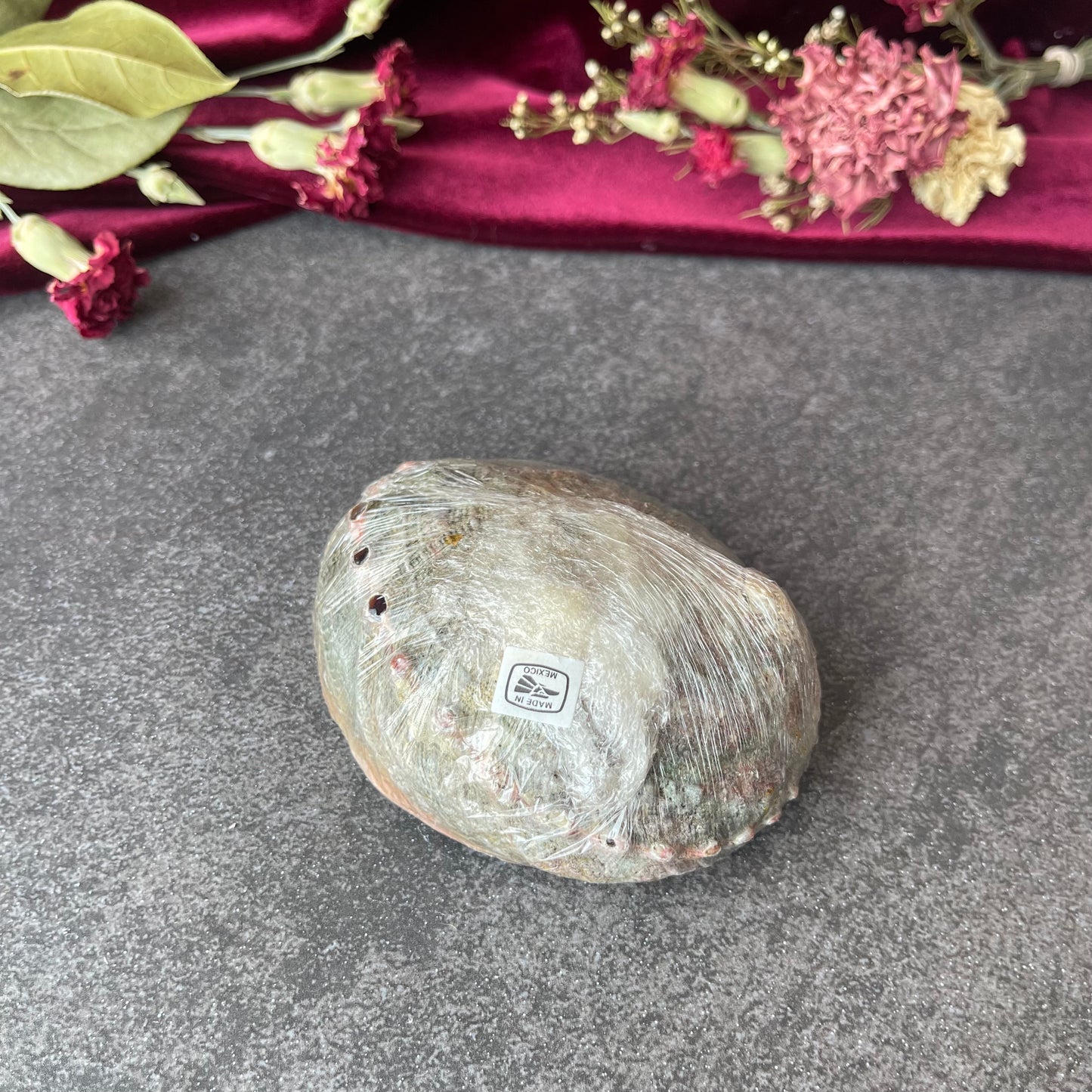 Abalone Shell