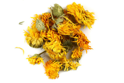 Calendula