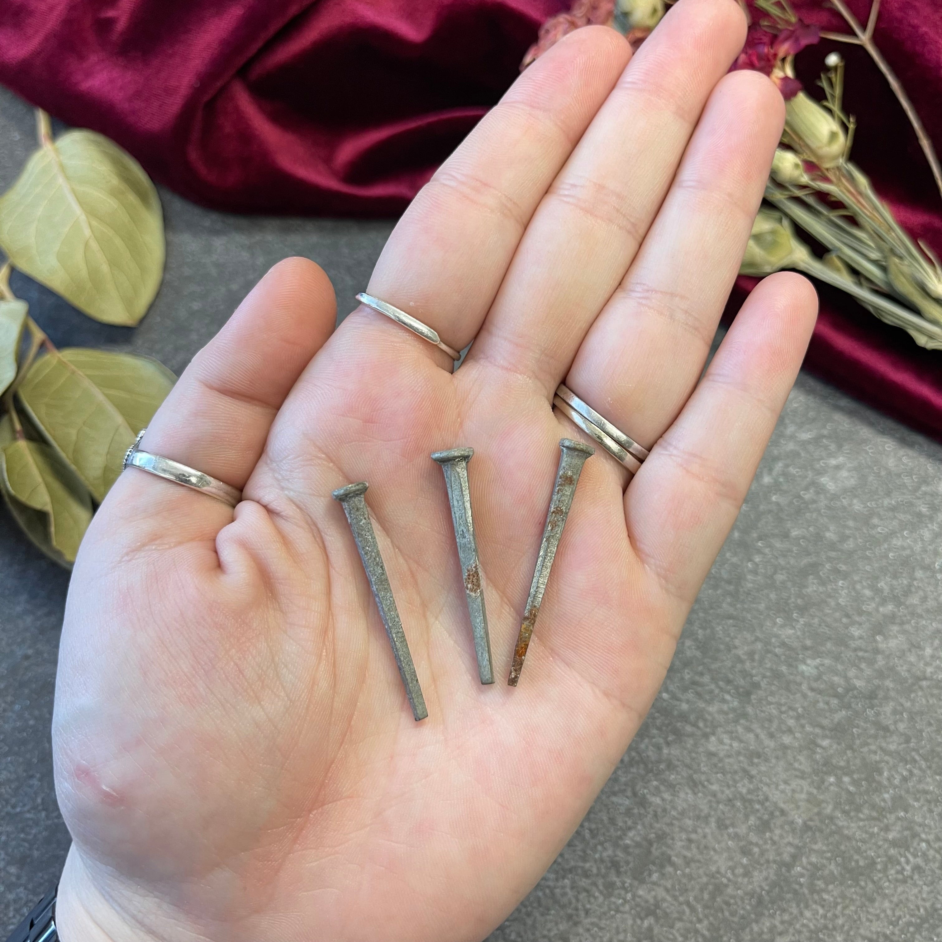 Small Coffin Nails